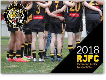 RJFC Annual Review 20180